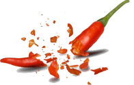 Koza Döner